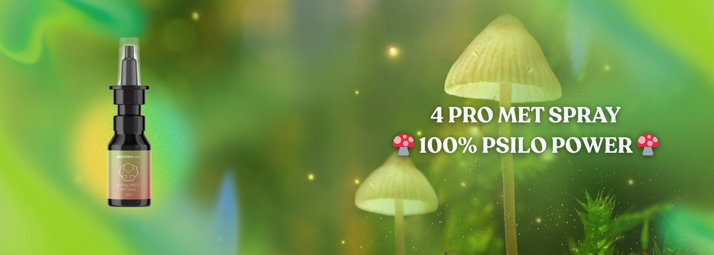 4-PrO-MET legales Psilo kaufen