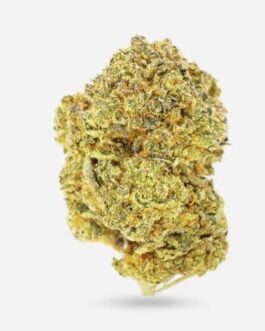 Granddaddy Purple – Hybrid